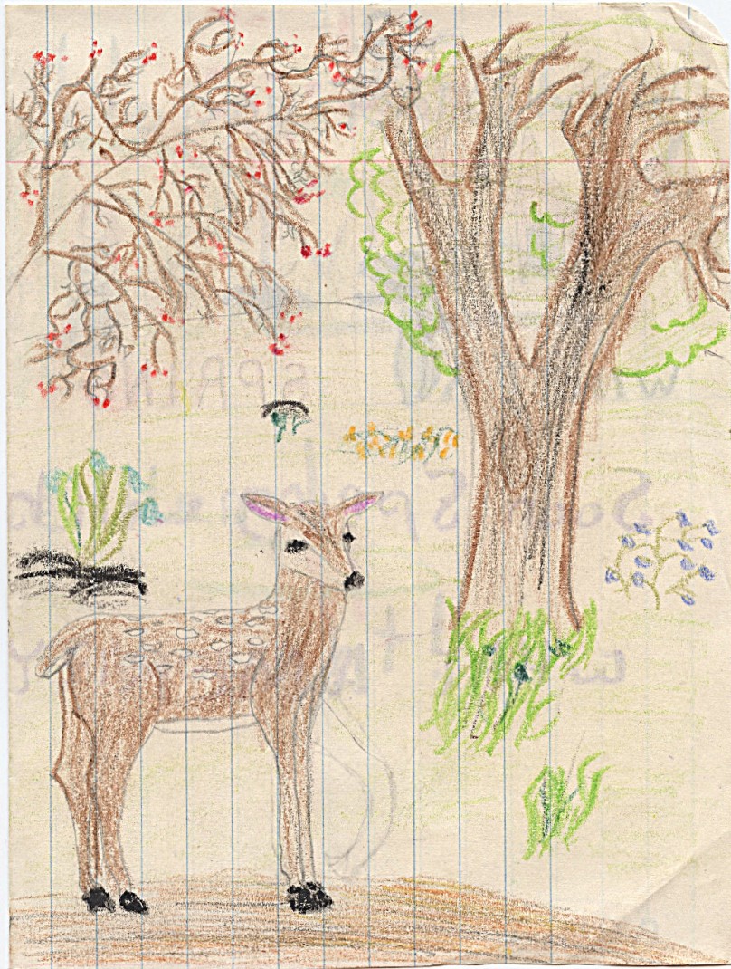 I think the deer was from a stencil -- I see I attempted to change the front leg so it was walking but erased my effort -- lots of plant related detail in this, notice the oval 'hole in the tree', lots of art therapist controversy over those!  I was enjoying using the crayons and colors in this drawing  